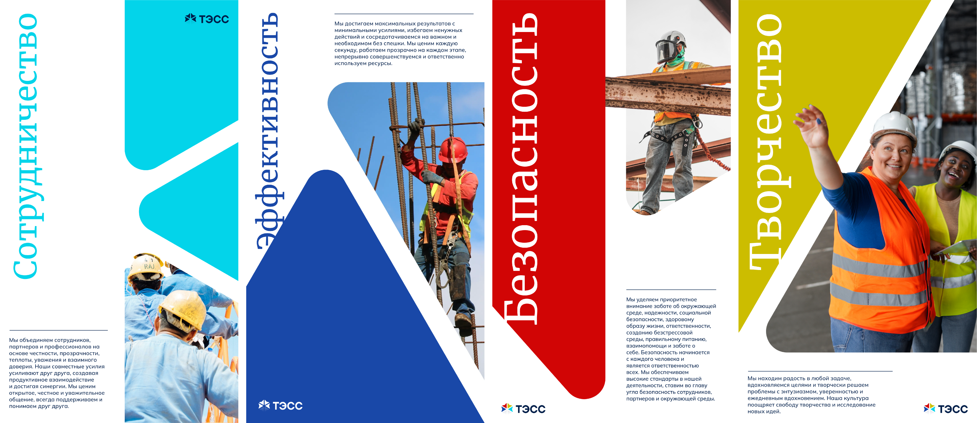 tess gallery image 1